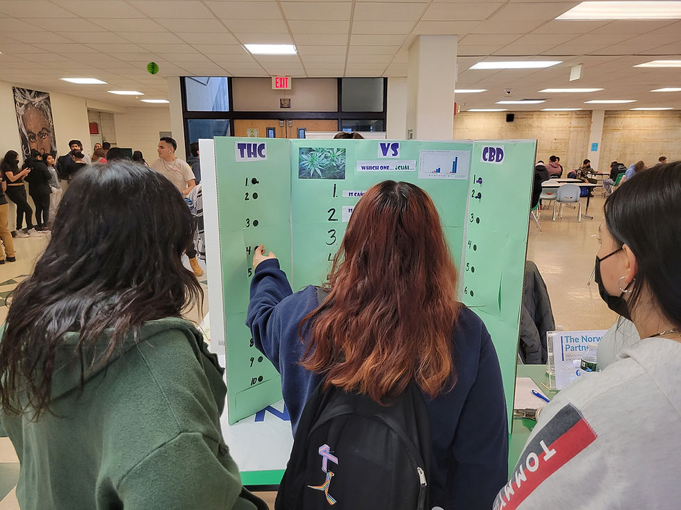 Teen Clubs The Norwalk Partnership teen-clubs-the-norwalk-partnership